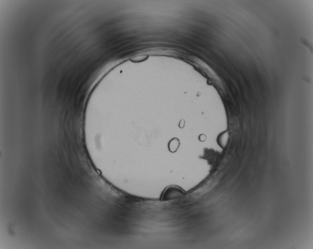 X0000096960860200803071049