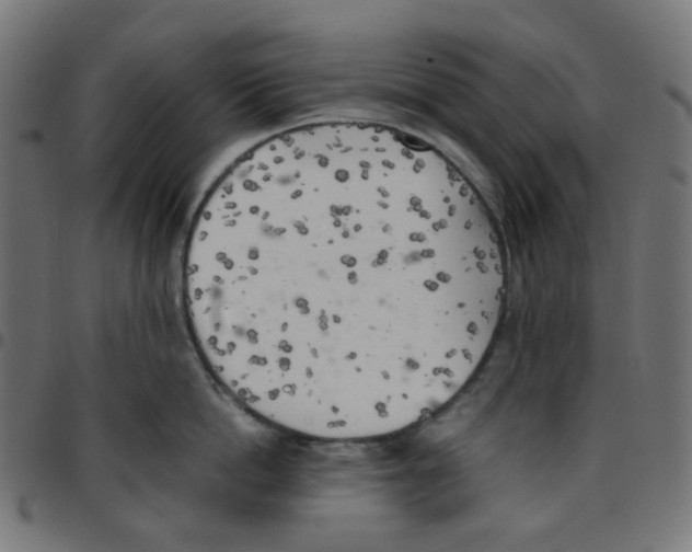 X0000096960862200803071049