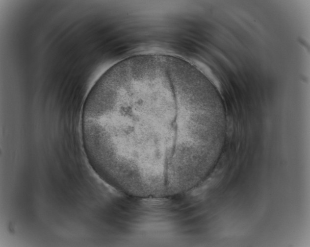 X0000096960863200803071050