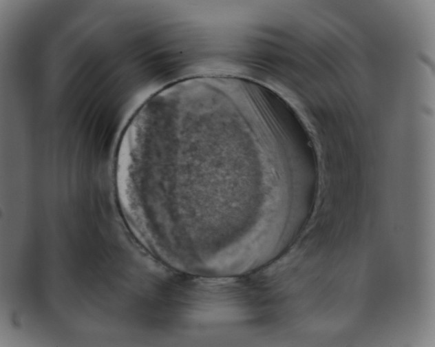 X0000096960864200803071050