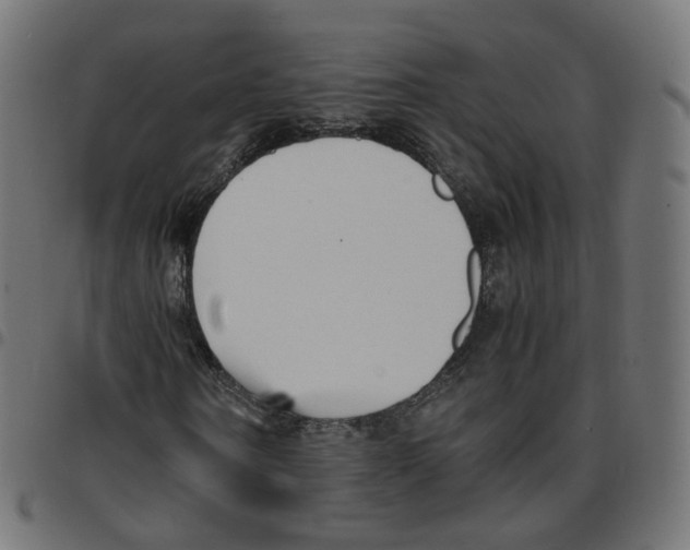 X0000096960866200803071049