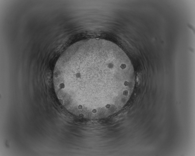 X0000096960867200803071049