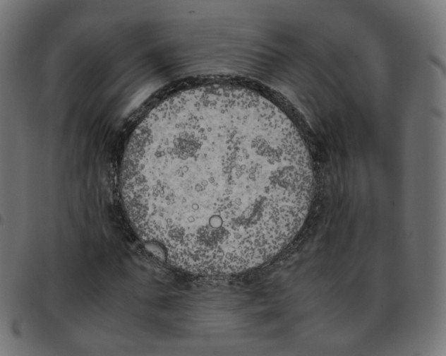 X0000096960871200803071049