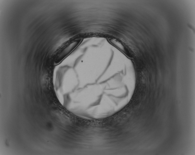 X0000096960872200803071049