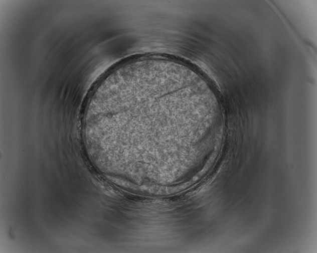 X0000096960879200803071049