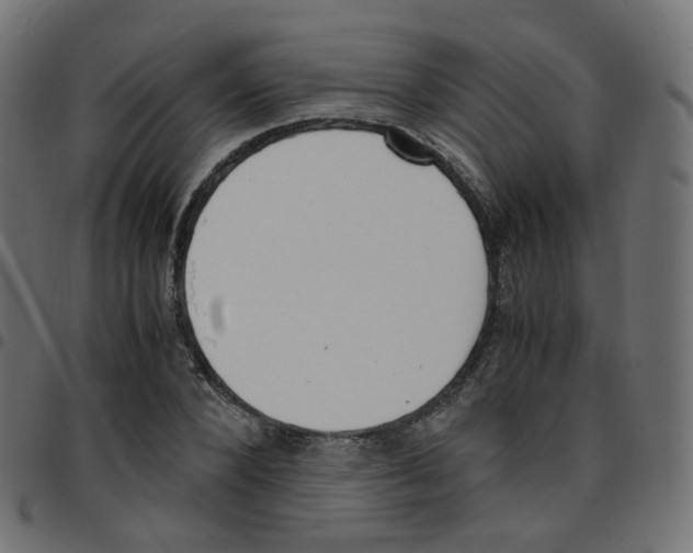 X0000096960880200803071049