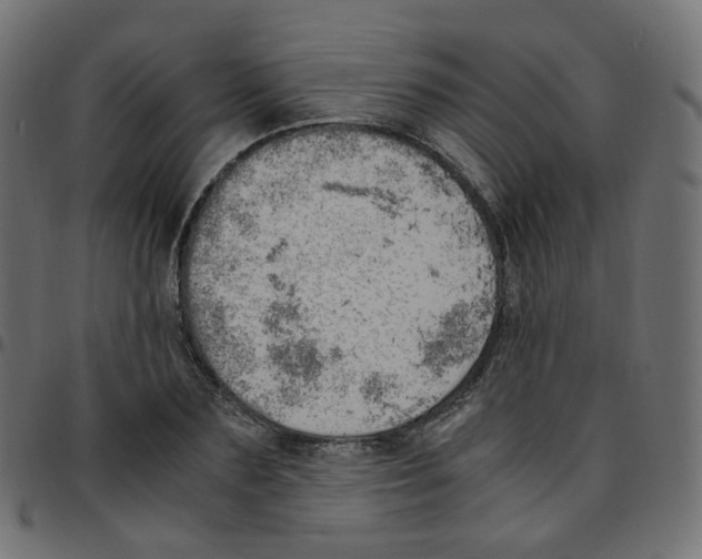 X0000096960883200803071048