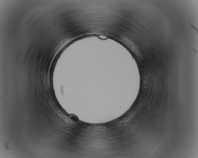 X0000096960884200803071048