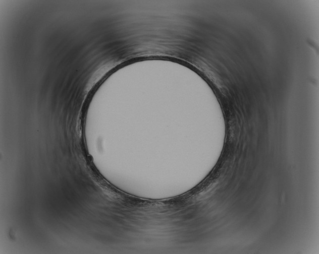 X0000096960885200803071048