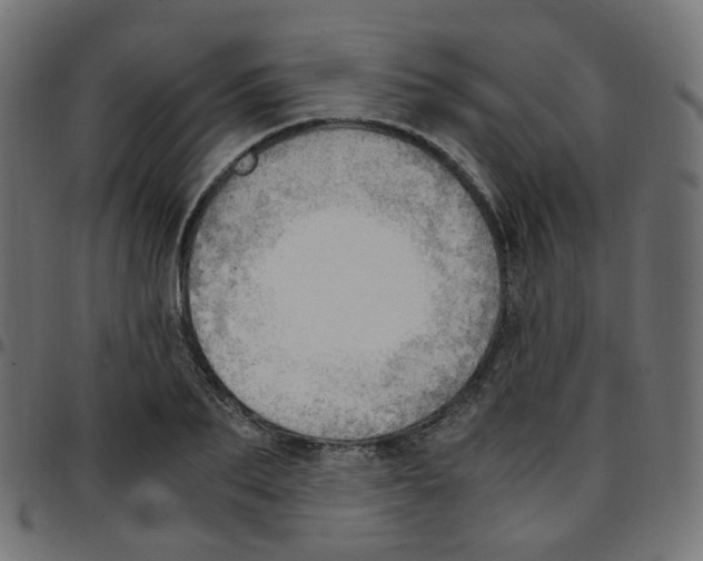 X0000096960887200803071048