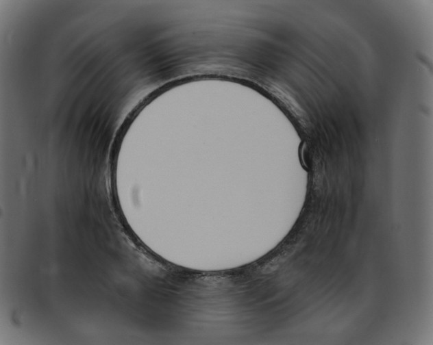 X0000096960888200803071048