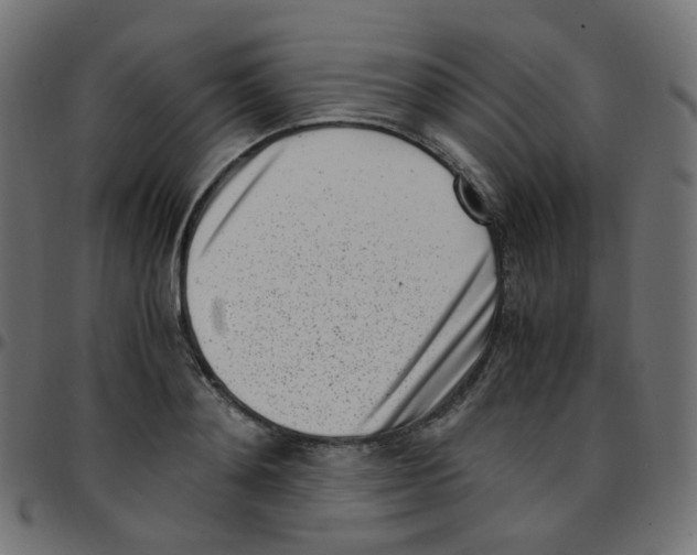 X0000096960892200803071048