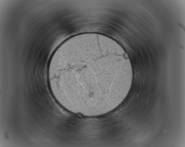 X0000096960894200803071048