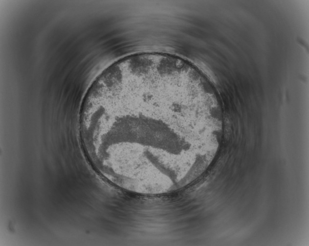 X0000096960895200803071048