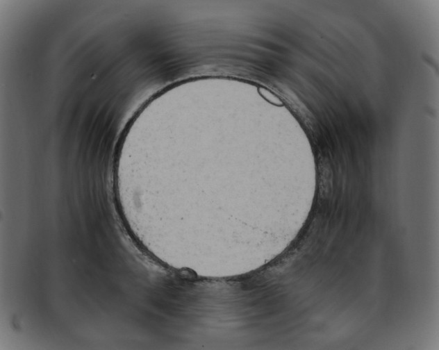 X0000096960896200803071048