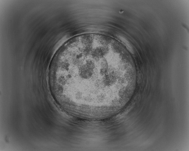 X0000096960899200803071048