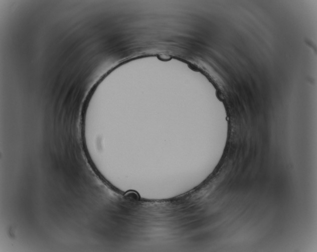 X0000096960902200803071048