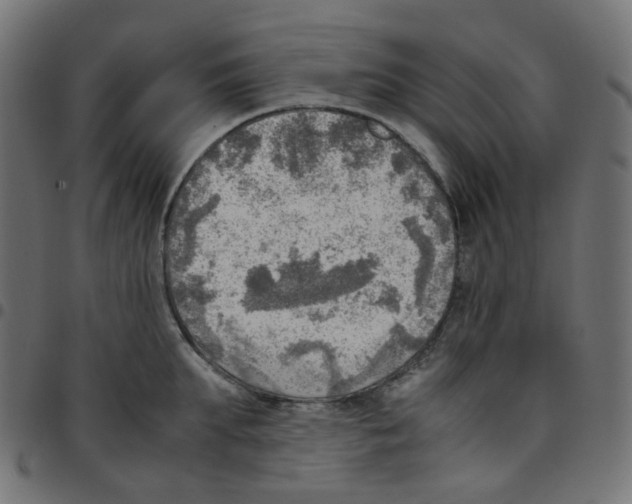 X0000096960903200803071048