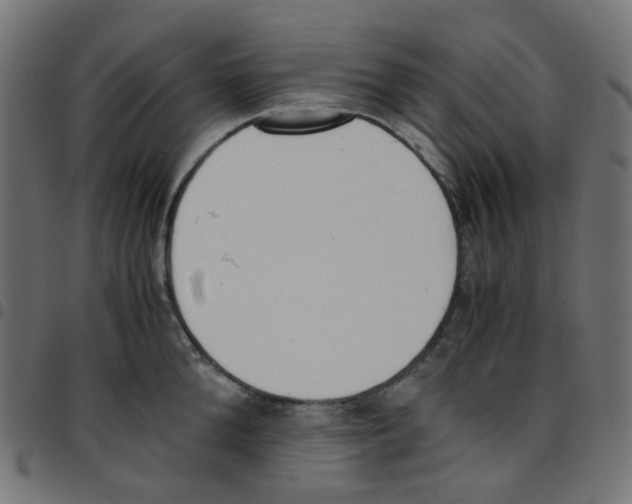 X0000096960904200803071048