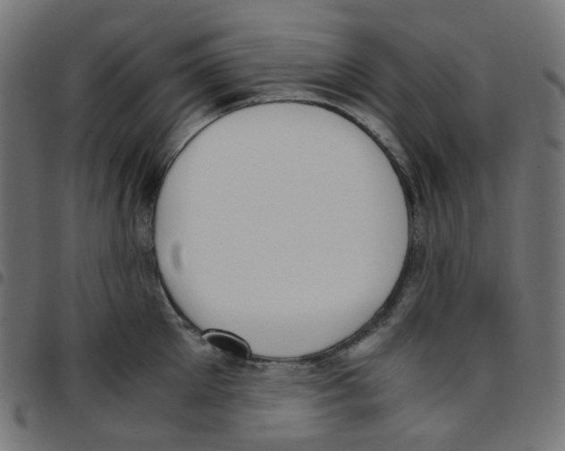 X0000096960905200803071048