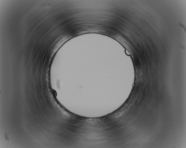 X0000096960906200803071048