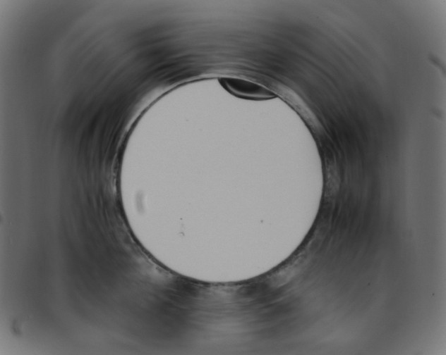 X0000096960908200803071048