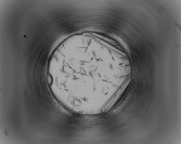 X0000096960910200803071048