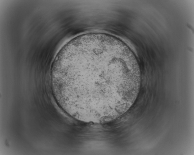 X0000096960911200803071048