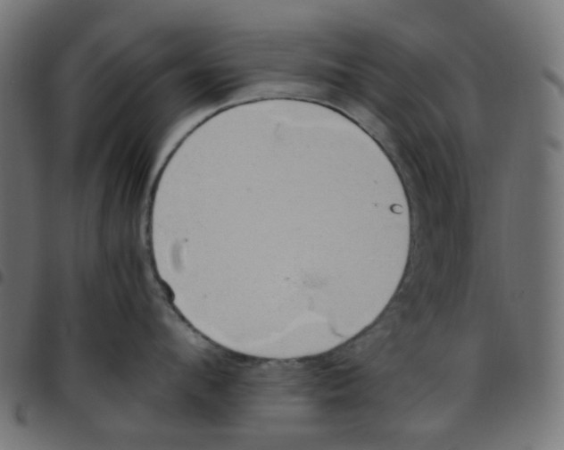 X0000096960912200803071048