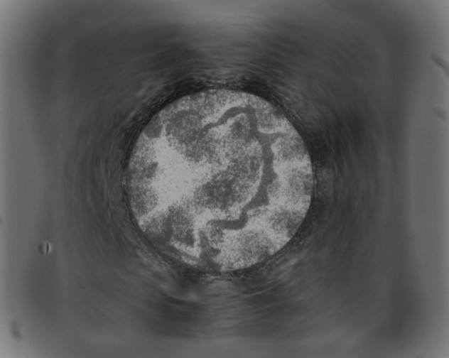 X0000096960913200803071047