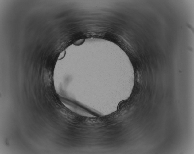 X0000096960915200803071047