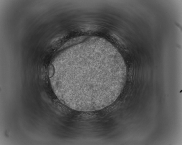 X0000096960917200803071047