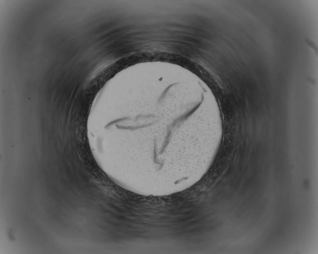 X0000096960919200803071047