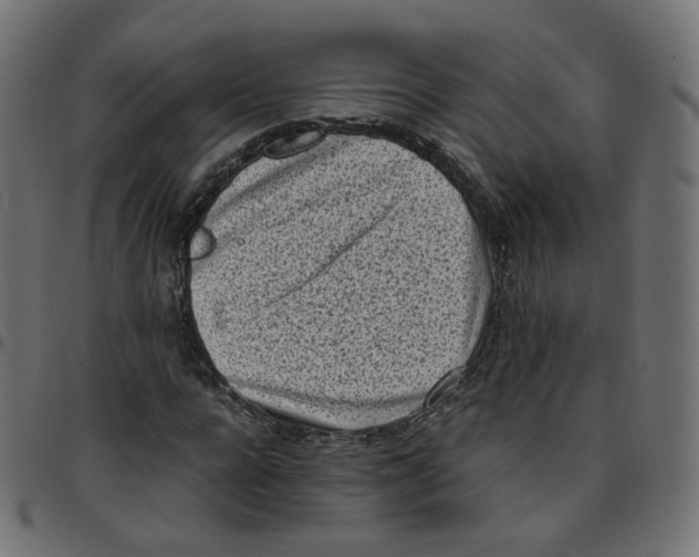 X0000096960920200803071047