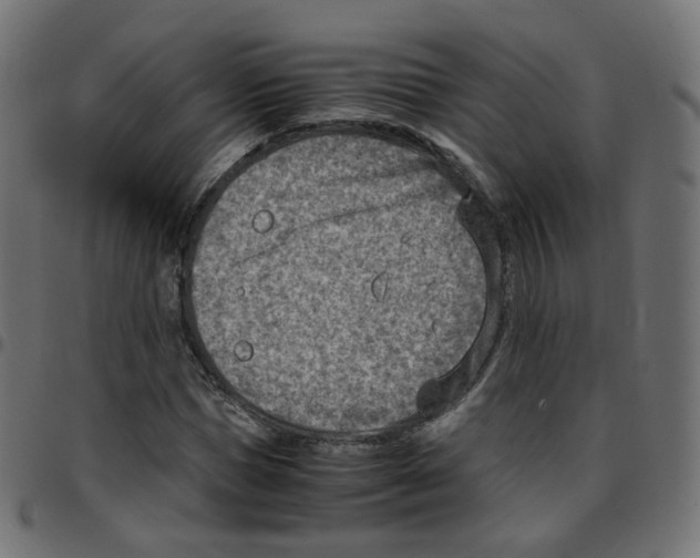 X0000096960921200803071048