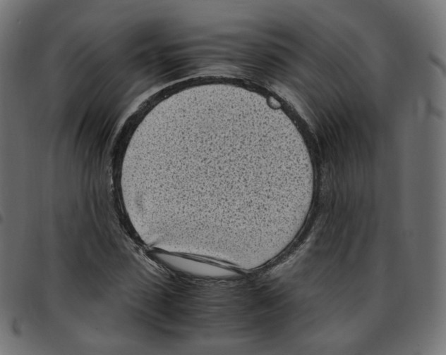 X0000096960923200803071048