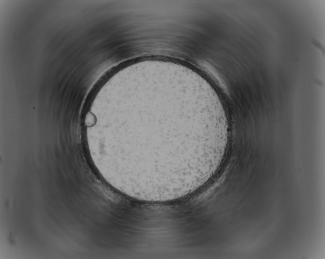 X0000096960924200803071048