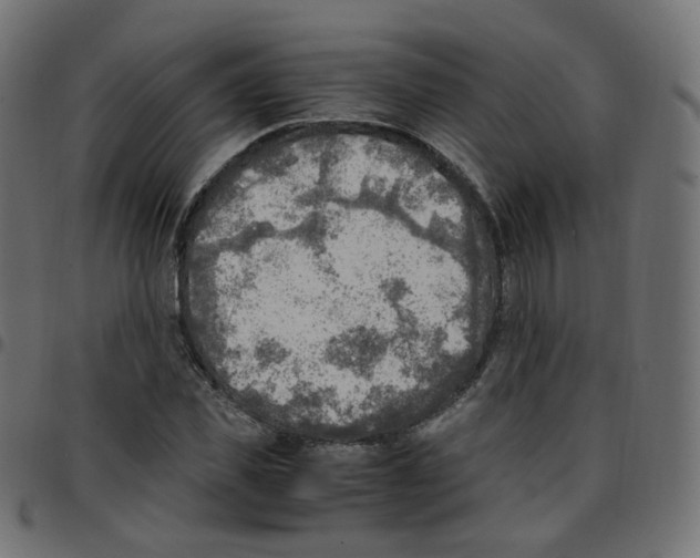 X0000096960925200803071048