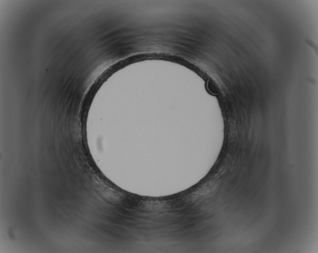 X0000096960927200803071048