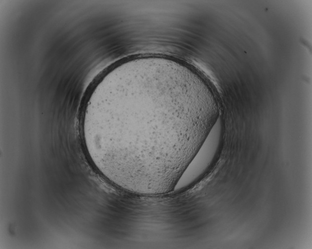 X0000096960928200803071048