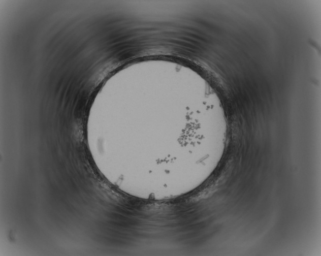 X0000096960929200803071048