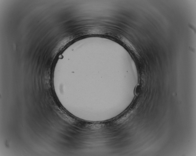 X0000096960930200803071048