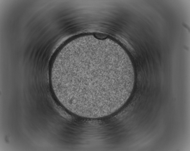 X0000096960934200803071048