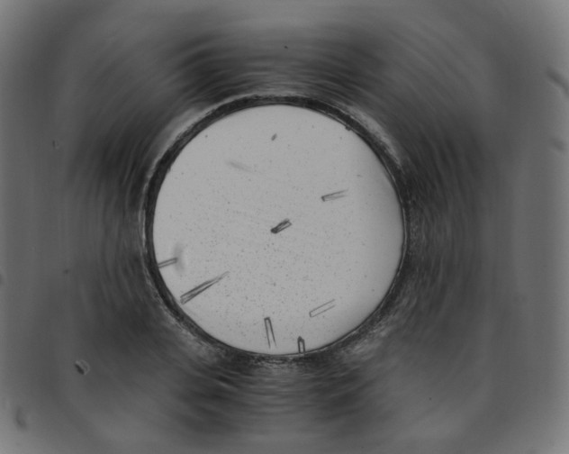 X0000096960935200803071048