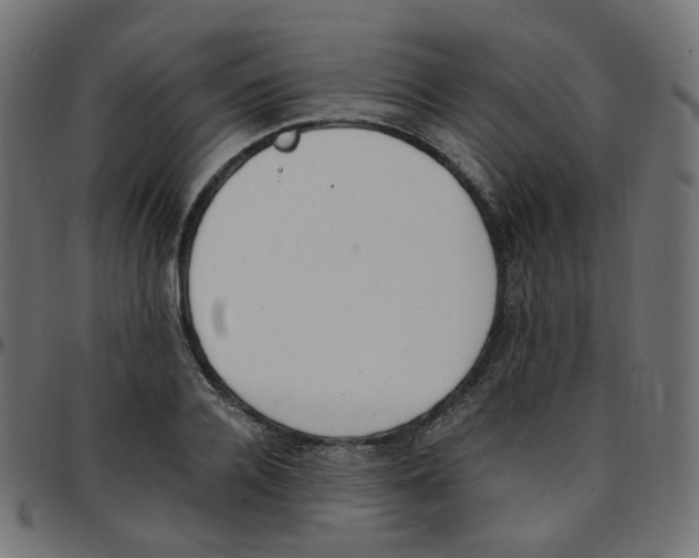 X0000096960936200803071048