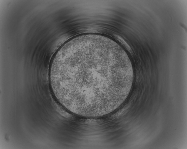 X0000096960938200803071048