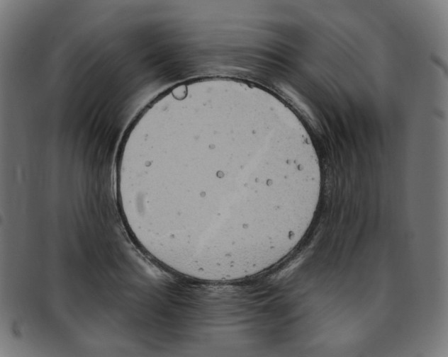 X0000096960940200803071048