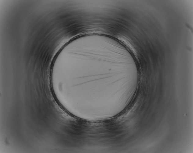 X0000096960941200803071048