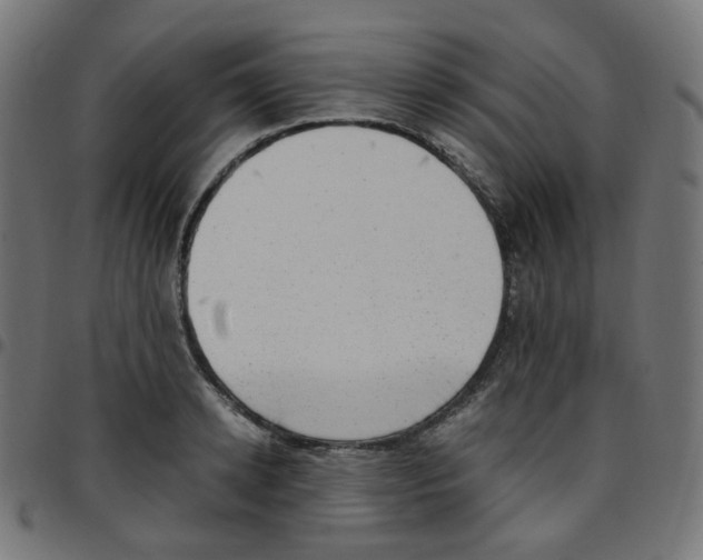 X0000096960942200803071048