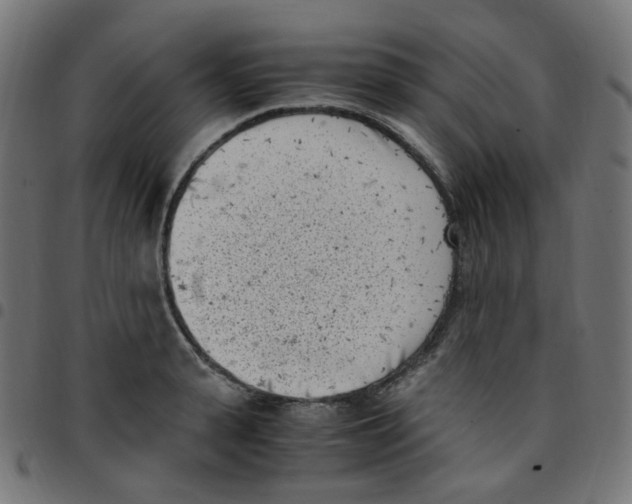 X0000096960943200803071048